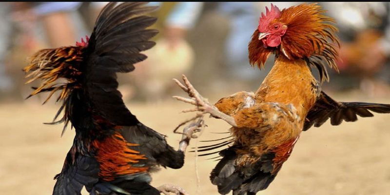 Kinh nghiệm chơi khủng nhất