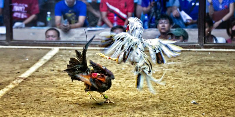 Nhà cái được trang bị hiện đại