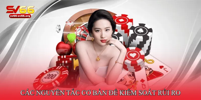 Các nguyên tắc cơ bản để kiểm soát rủi ro