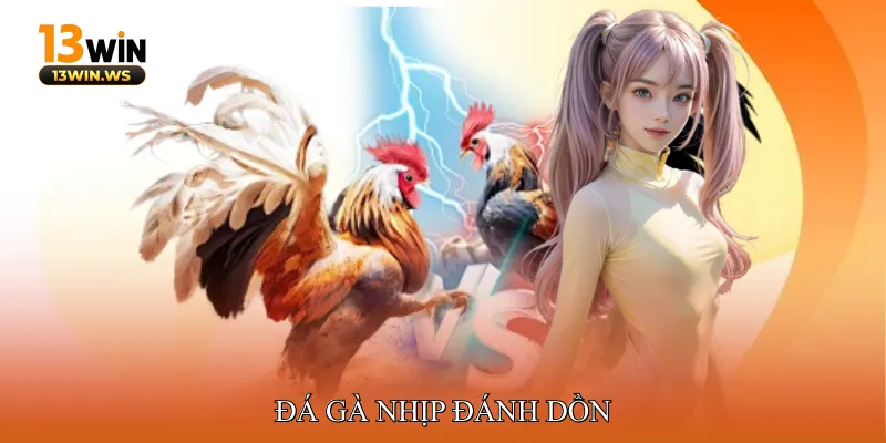 Đá gà nhịp đánh dồn