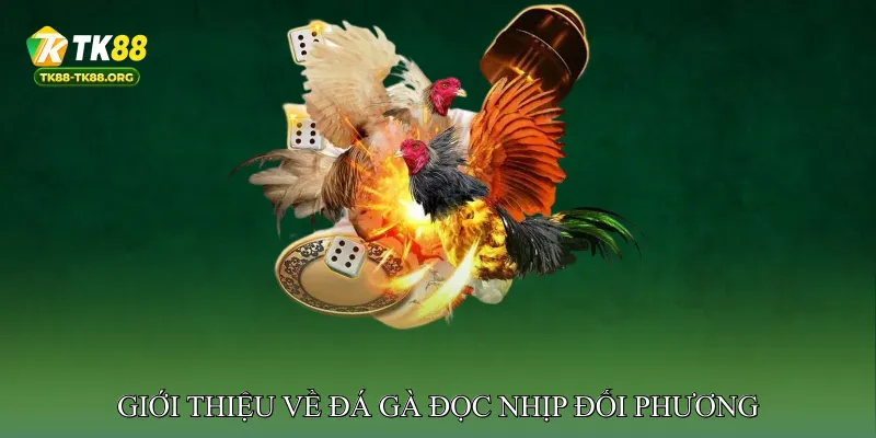 Giới thiệu về đá gà đọc nhịp đối phương